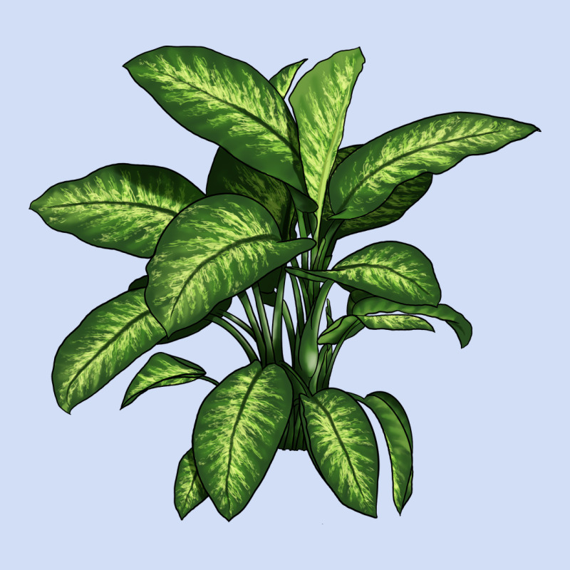Dumb Cane Urban Hoodie by LillyAllenDesigns | Teevron