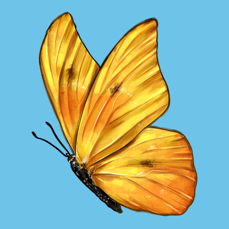 Flying Cloudless Sulphur Butterfly Premium Sweatshirt by LillyAllenDesigns | Teevron