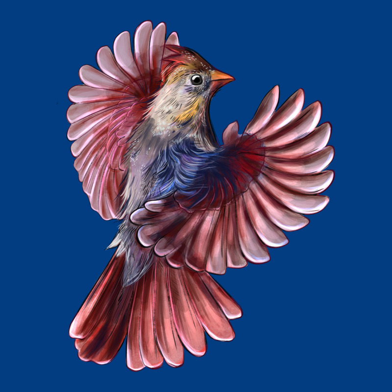 Flying Northern Cardinal Bird Premium Sweatshirt by LillyAllenDesigns | Teevron