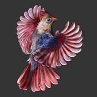 Flying Northern Cardinal Bird | Teevron