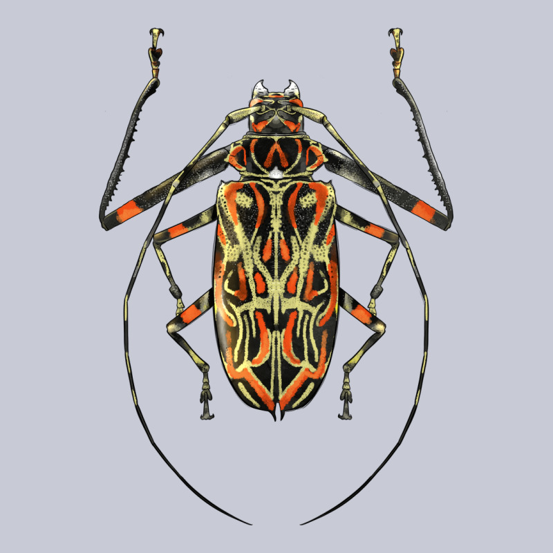 Acrocinus Beetle Illustrations Heavyweight Hoodie by LillyAllenDesigns | Teevron