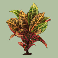 Croton Urban Hoodie | Teevron