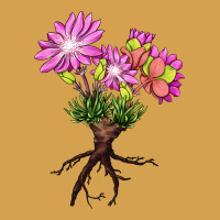 Bitterroot Flower Illustrations Urban Hoodie | Teevron