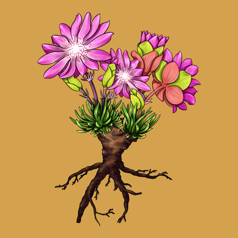 Bitterroot Flower Illustrations Urban Hoodie by LillyAllenDesigns | Teevron