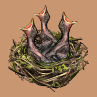 Bird Nest With Baby Birds Heavyweight Hoodie | Teevron
