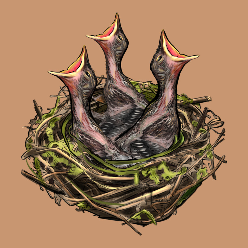 Bird Nest With Baby Birds Heavyweight Hoodie by LillyAllenDesigns | Teevron
