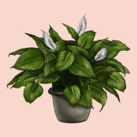 Peace Lily Urban Hoodie | Teevron