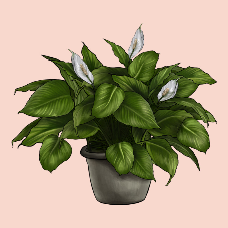 Peace Lily Urban Hoodie by LillyAllenDesigns | Teevron