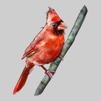 Northern Cardinal Bird Premium Sweatshirt | Teevron
