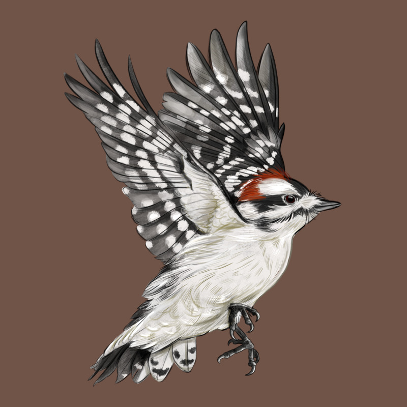 Flying Downy Woodpecker Premium Sweatshirt by LillyAllenDesigns | Teevron