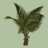 Palm Tree Urban Hoodie | Teevron