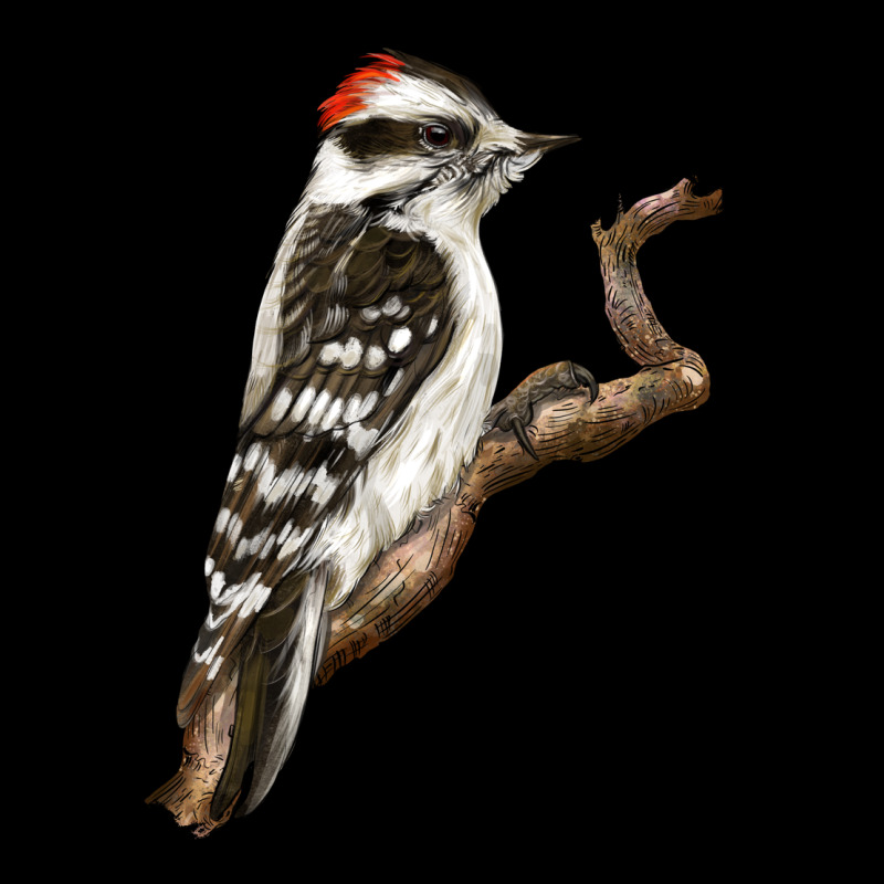 Downy Woodpecker Premium Sweatshirt by LillyAllenDesigns | Teevron