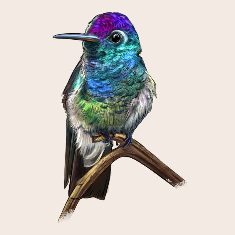 Rivoli`s Hummingbird Premium Sweatshirt by LillyAllenDesigns | Teevron