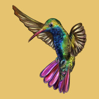 Broad Billed Hummingbird Premium Sweatshirt | Teevron