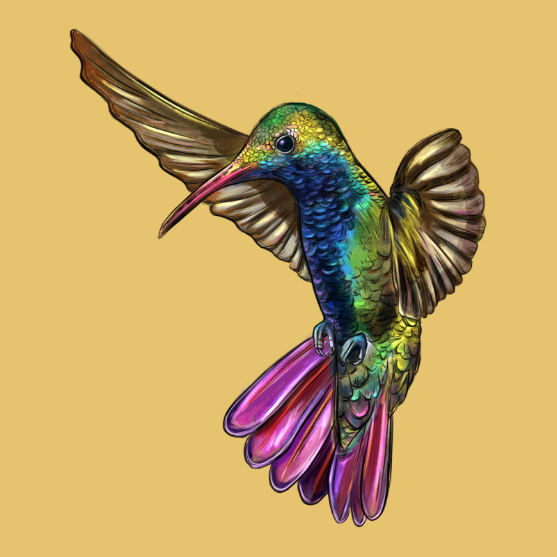 Broad Billed Hummingbird Premium Sweatshirt by LillyAllenDesigns | Teevron