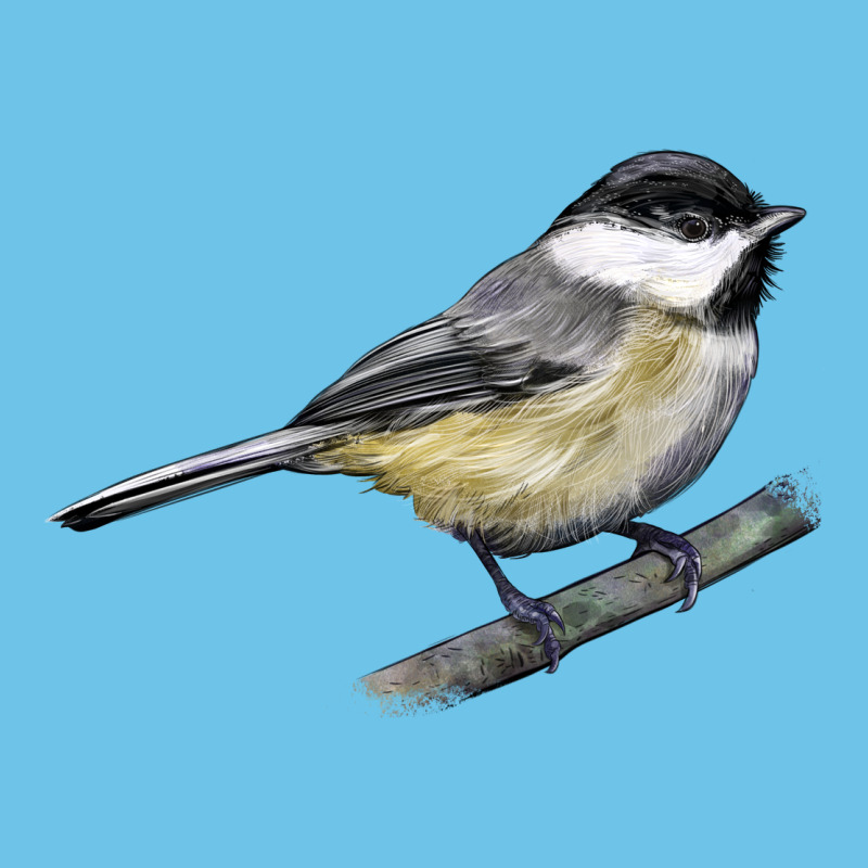 Black Capped Chickadee Premium Sweatshirt by LillyAllenDesigns | Teevron