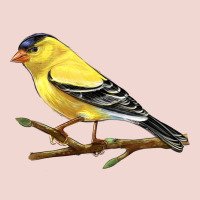 American Goldfinch Premium Sweatshirt | Teevron