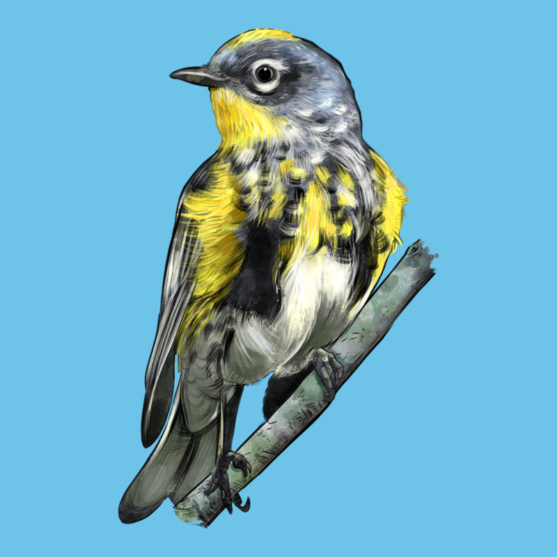 Yellow Rumped Warbler Premium Sweatshirt by LillyAllenDesigns | Teevron