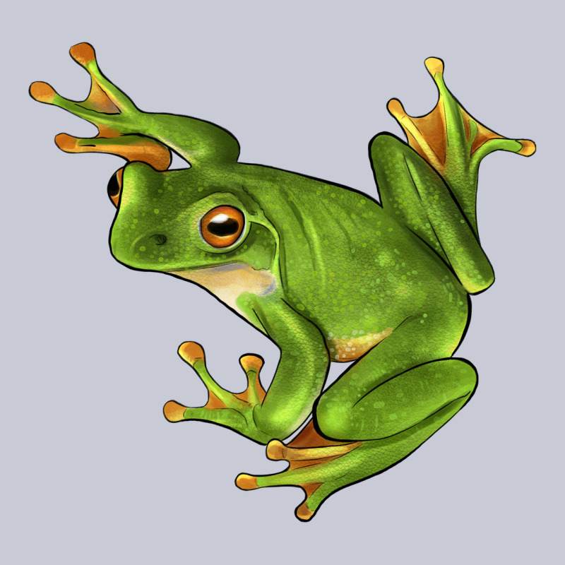 White Lipped Tree Frog Illustrations Heavyweight Hoodie by LillyAllenDesigns | Teevron
