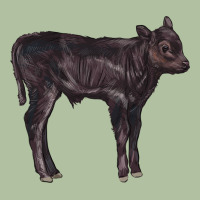 Black Angus Calf Illustrations Urban Hoodie | Teevron