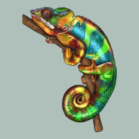 Chameleon Lizard Illustrations Heavyweight Hoodie | Teevron