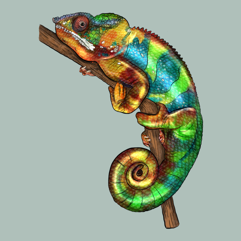 Chameleon Lizard Illustrations Heavyweight Hoodie by LillyAllenDesigns | Teevron