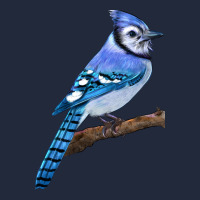 Blue Jay Bird Premium Sweatshirt | Teevron