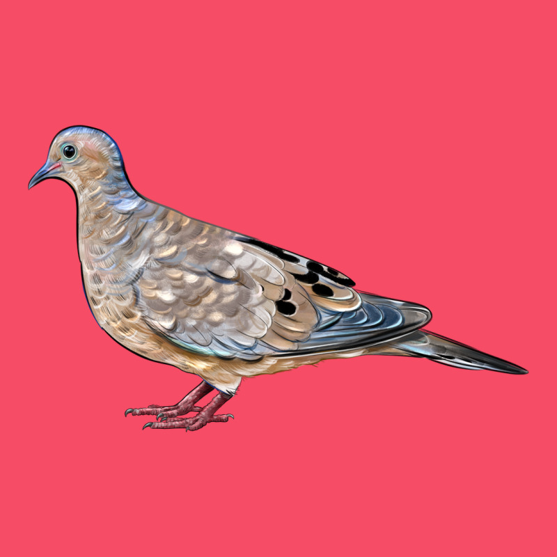 American Dove Premium Sweatshirt by LillyAllenDesigns | Teevron