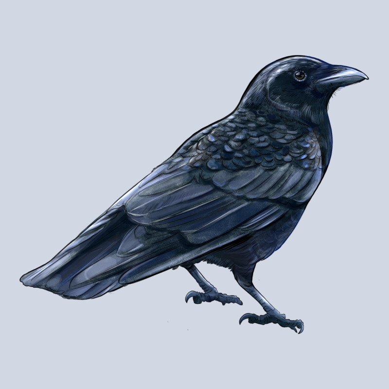 American Crow Premium Sweatshirt by LillyAllenDesigns | Teevron