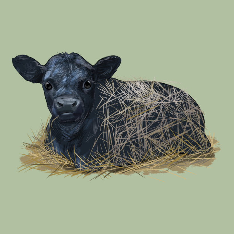 Black Angus Calf Illustrations Urban Hoodie by LillyAllenDesigns | Teevron