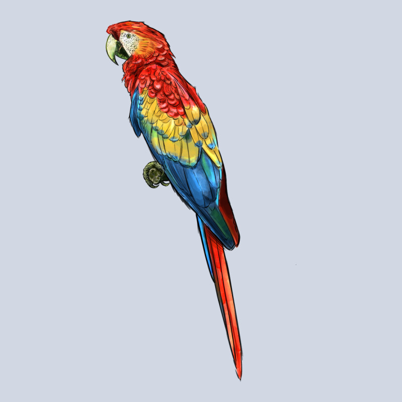 Scarlet Macaw Parrot Premium Sweatshirt by LillyAllenDesigns | Teevron