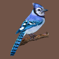 Blue Jay Bird Premium Sweatshirt | Teevron