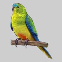 Neophema Parrot Premium Sweatshirt | Teevron
