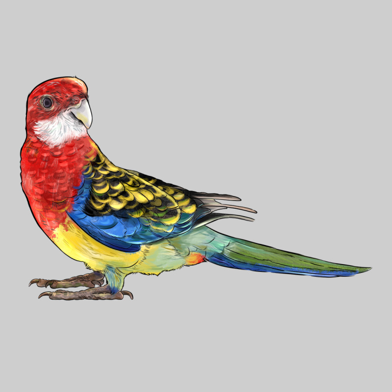 Rosella Bird Premium Sweatshirt by LillyAllenDesigns | Teevron