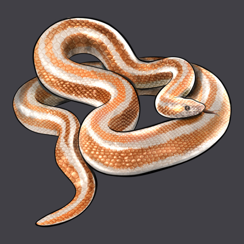 Rosy Boa Snake Illustrations Heavyweight Hoodie by LillyAllenDesigns | Teevron
