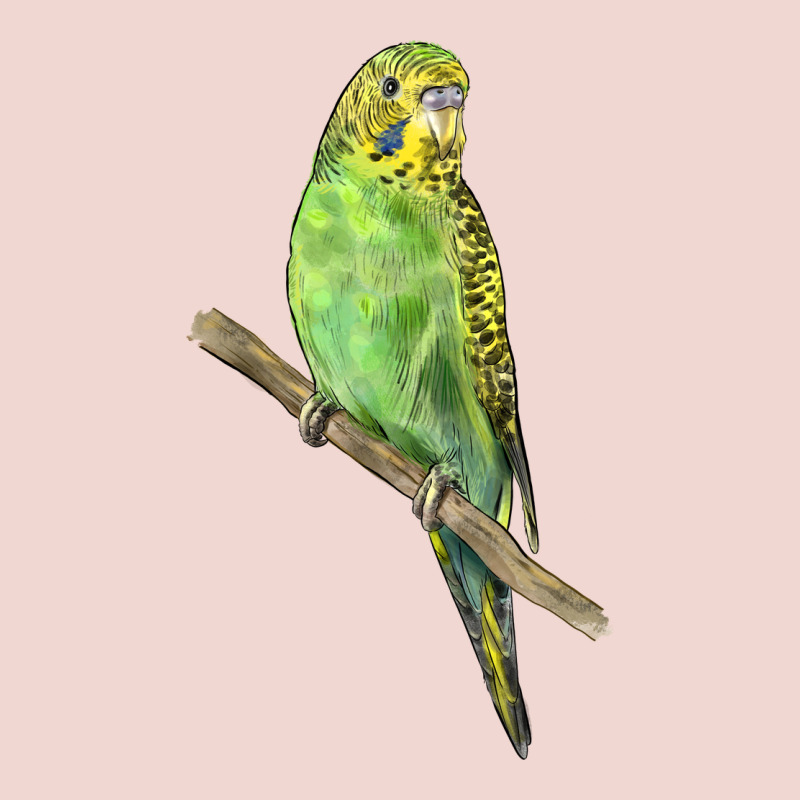 Budgeriar Bird Parrot Premium Sweatshirt by LillyAllenDesigns | Teevron