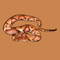 Copperhead Snake Illustrations Heavyweight Hoodie | Teevron