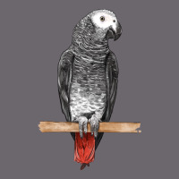 African Gray Parrot Bird Premium Sweatshirt | Teevron