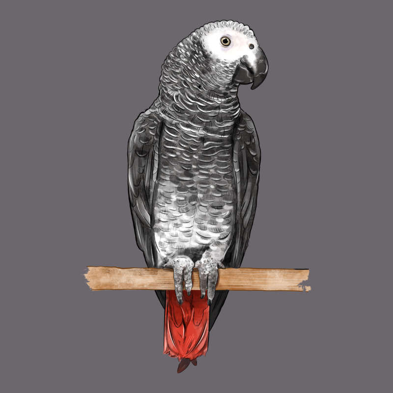 African Gray Parrot Bird Premium Sweatshirt by LillyAllenDesigns | Teevron