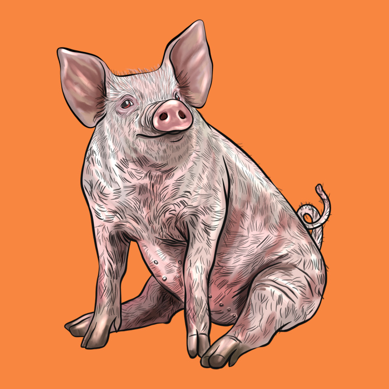 American Yorkshire Pig Premium Sweatshirt by LillyAllenDesigns | Teevron