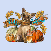 Hello Autumn With Chihuahua Dog Urban Hoodie | Teevron