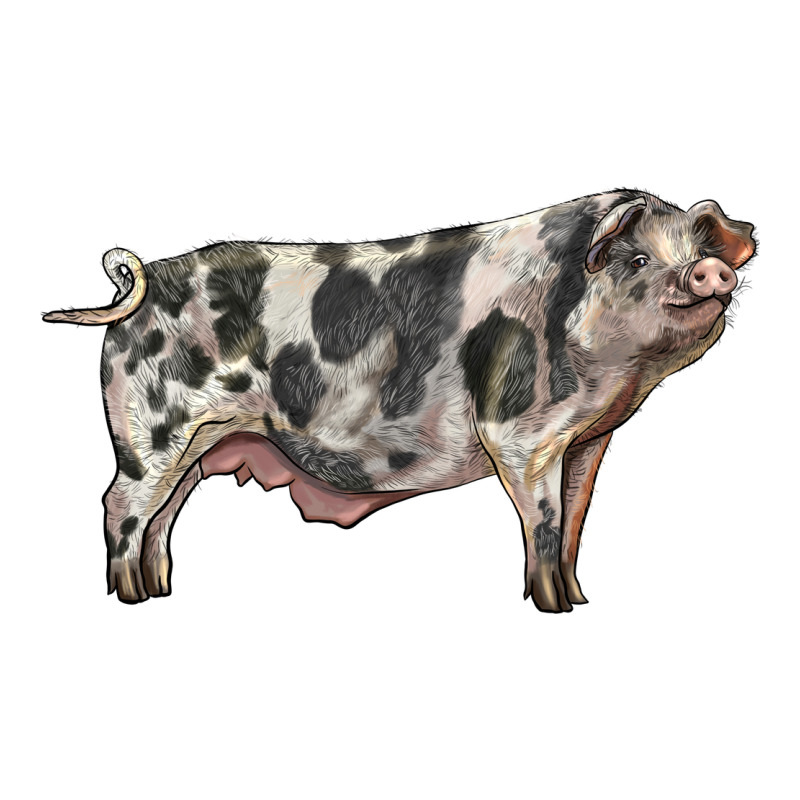 Spotted Pig Premium Sweatshirt by LillyAllenDesigns | Teevron
