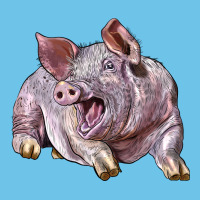 Landrace Pig Premium Sweatshirt | Teevron