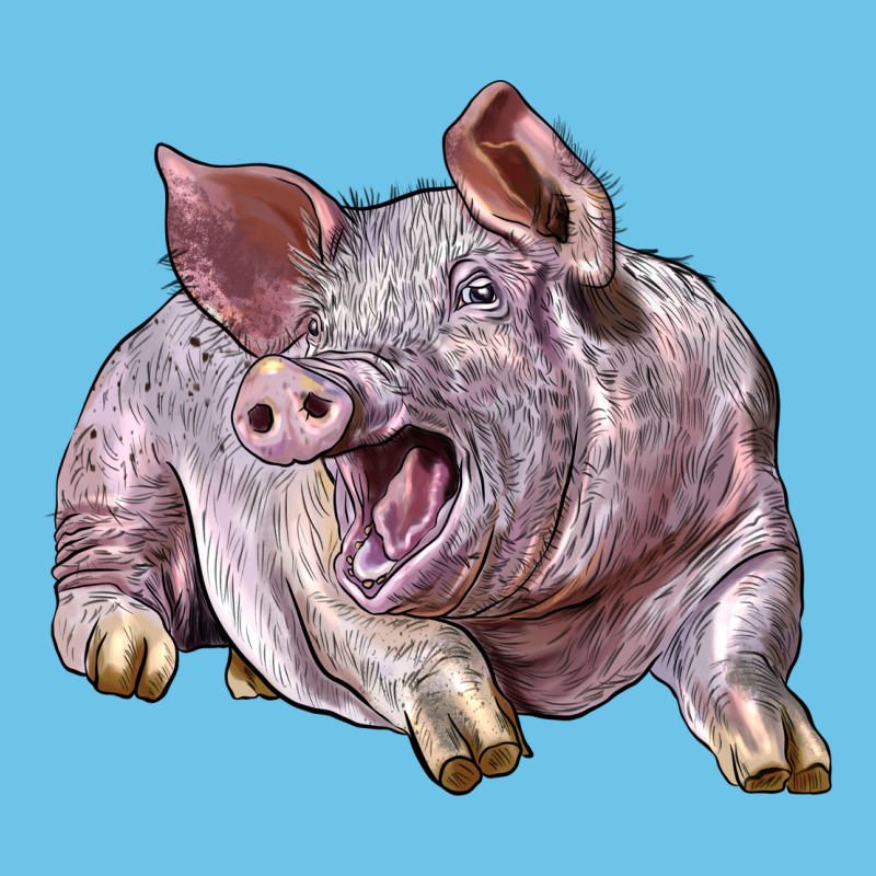 Landrace Pig Premium Sweatshirt by LillyAllenDesigns | Teevron