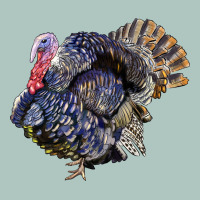 Bronze Turkey Premium Sweatshirt | Teevron