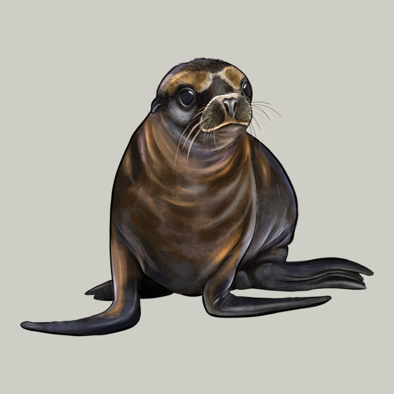 Sea Lion Illustrations Heavyweight Hoodie by LillyAllenDesigns | Teevron