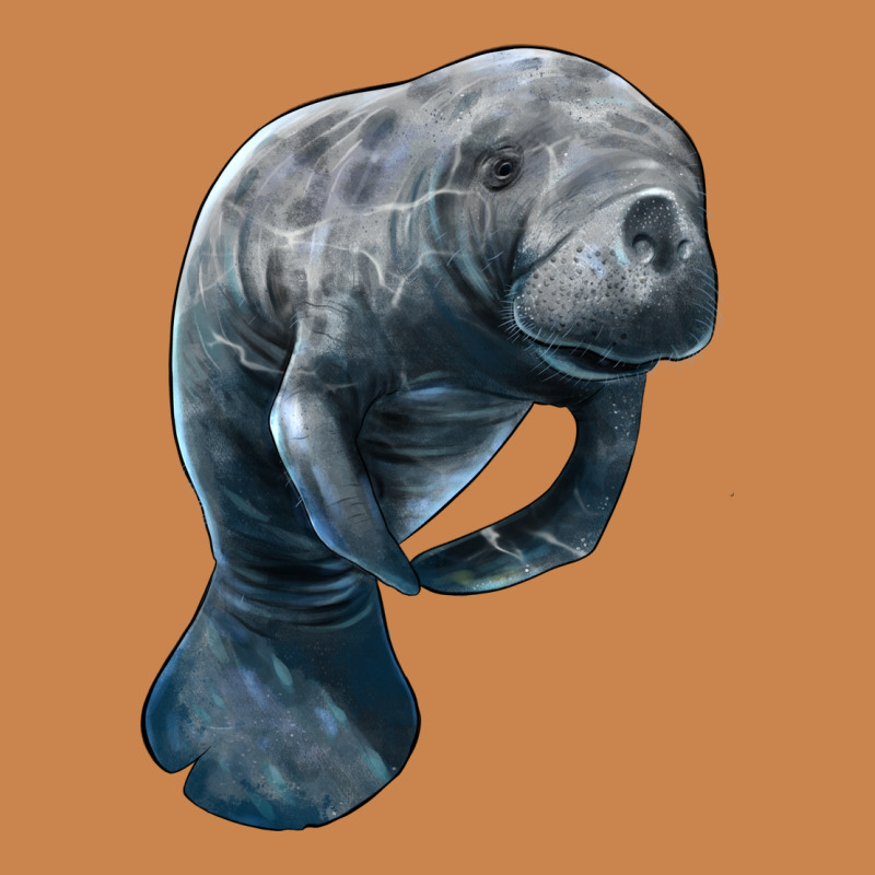 Manatee Illustrations Heavyweight Hoodie by LillyAllenDesigns | Teevron