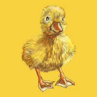 Baby Duck Premium Sweatshirt | Teevron