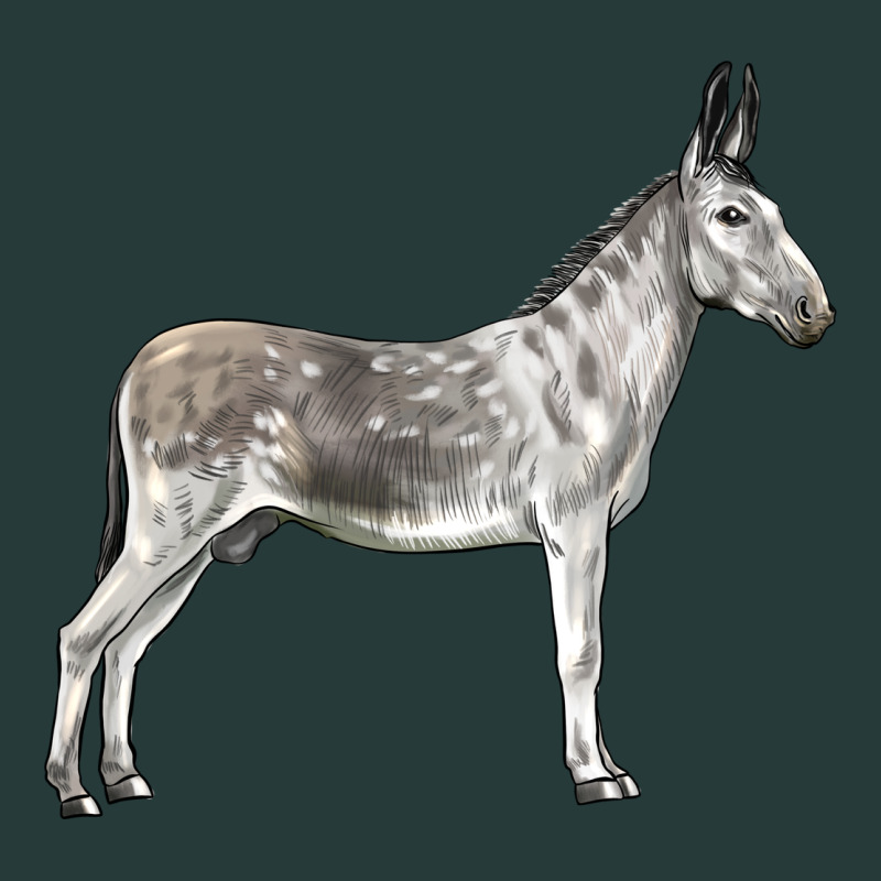 Andalusian Donkey Premium Sweatshirt by LillyAllenDesigns | Teevron