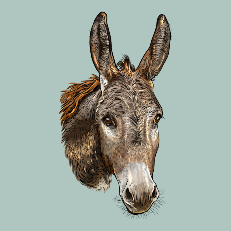 Andalusian Donkey Face Premium Sweatshirt by LillyAllenDesigns | Teevron